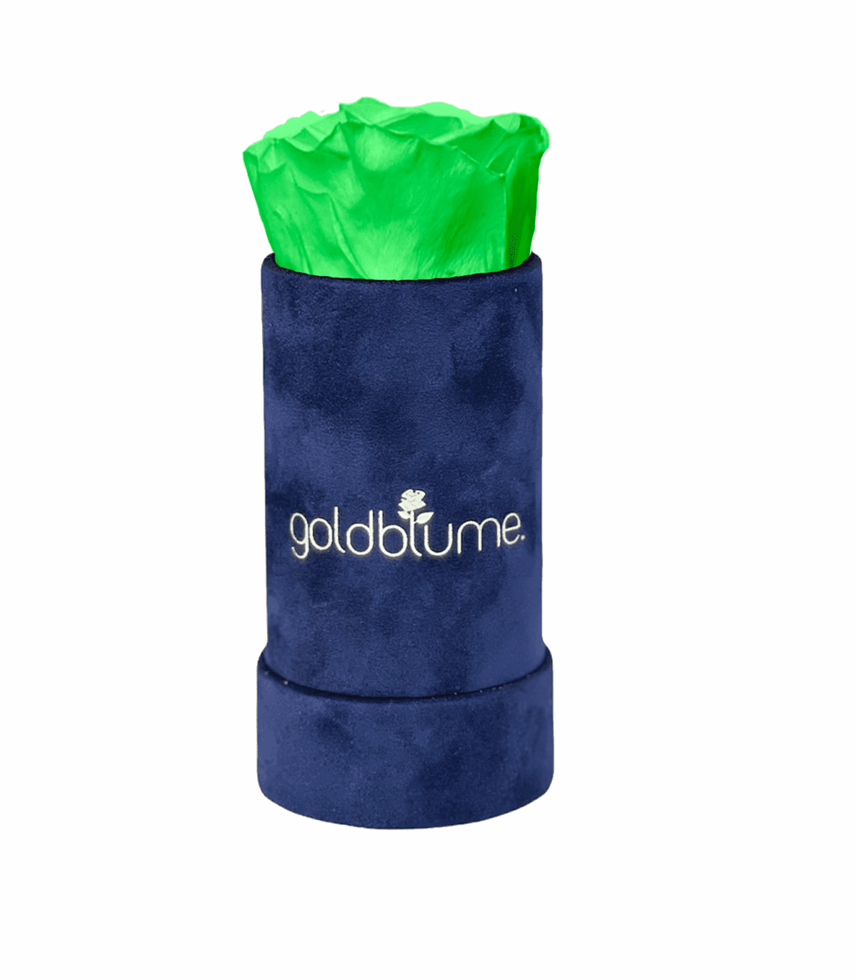 Velvet Royal Collection - Goldblume 