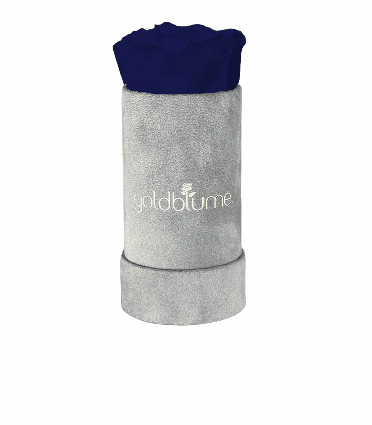 Velvet Grey Collection - Goldblume 