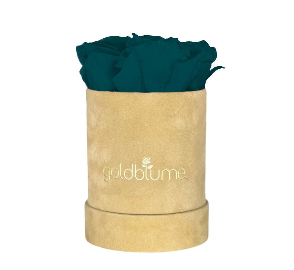 Velvet Beige Collection - Goldblume 