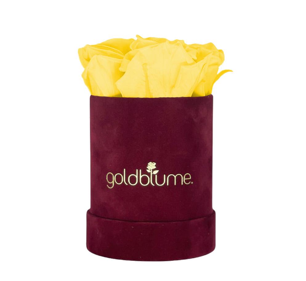 Velvet Bordeaux Collection - Goldblume 