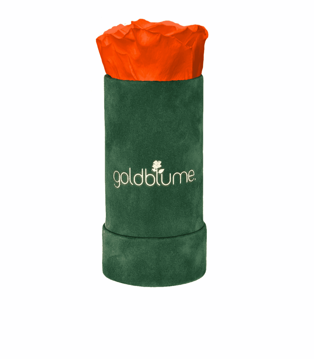 Velvet Green Collection - Goldblume 