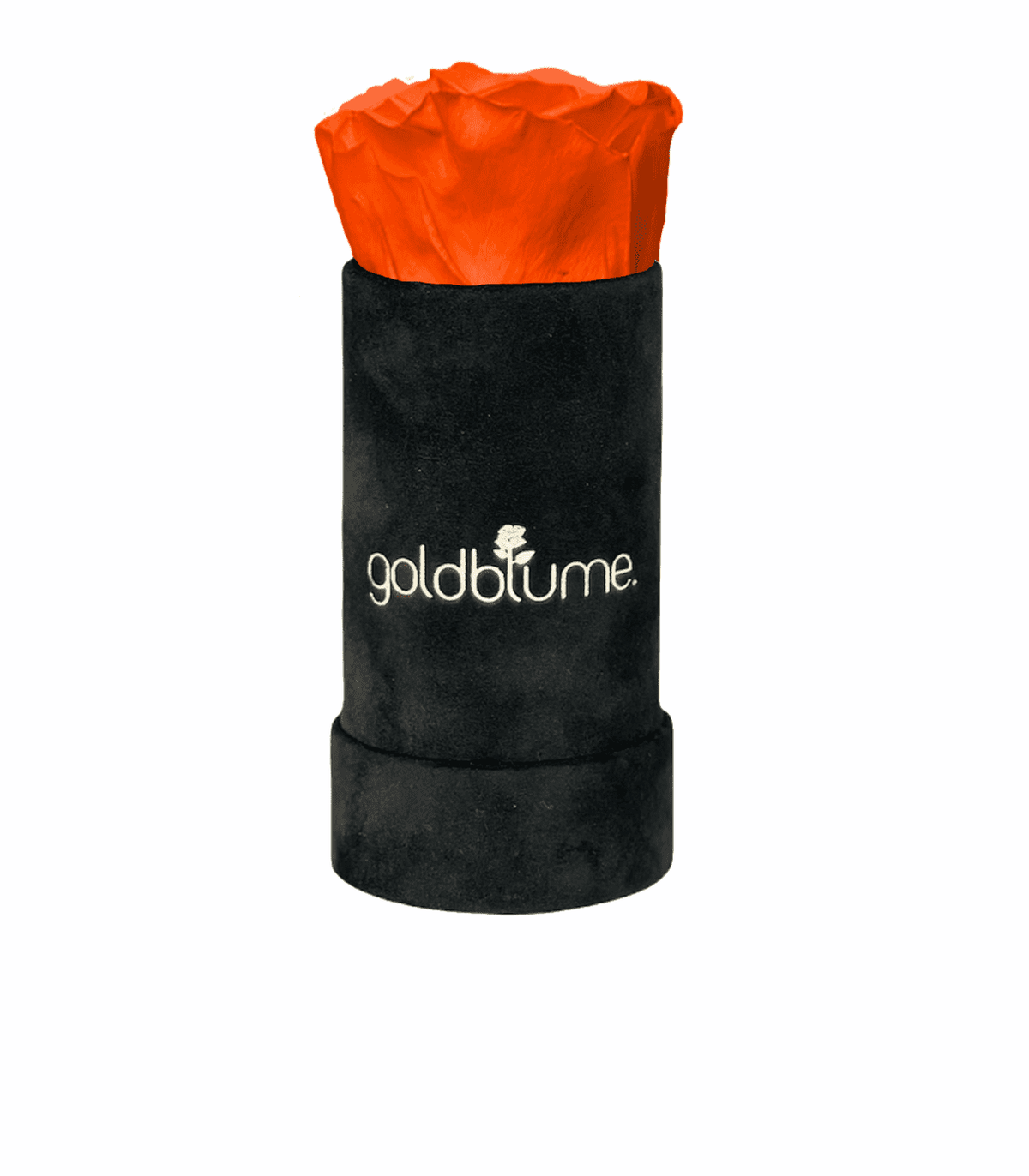 Velvet Black Collection - Goldblume 