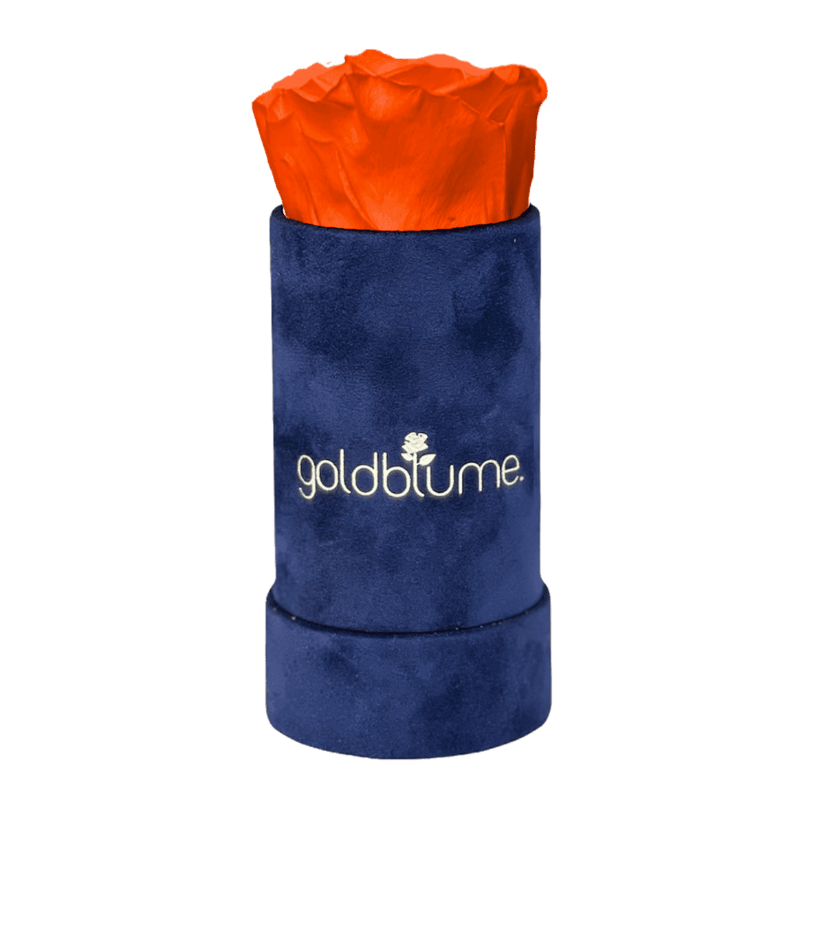 Velvet Royal Collection - Goldblume 