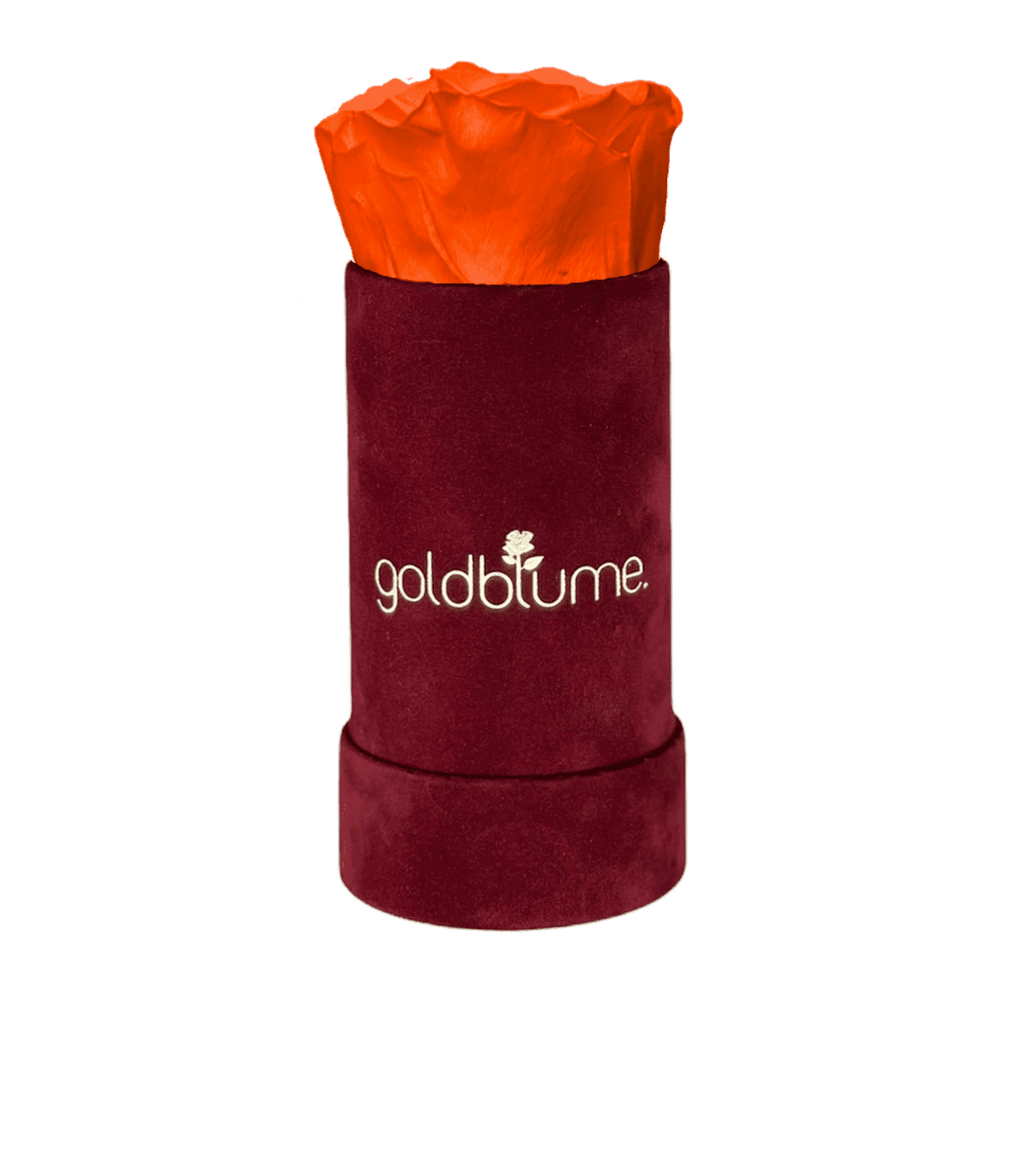 Velvet Bordeaux Collection - Goldblume 
