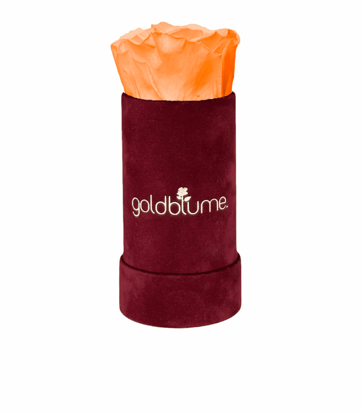 Velvet Bordeaux Collection - Goldblume 