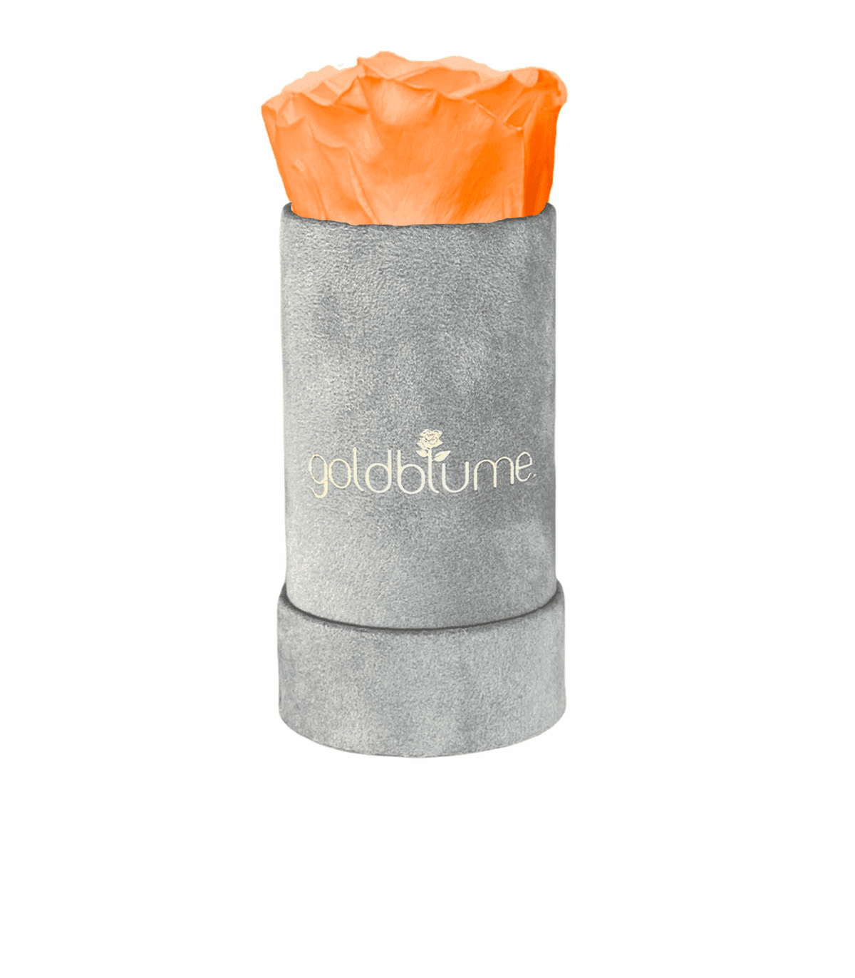 Velvet Grey Collection - Goldblume 