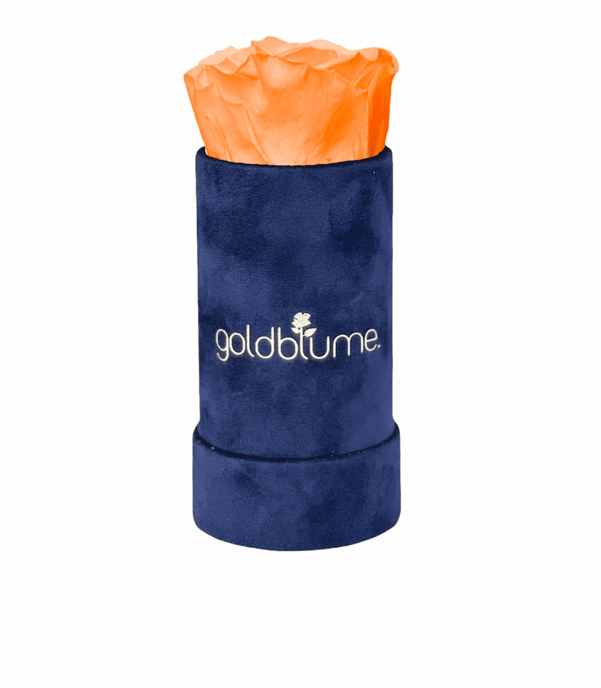 Velvet Royal Collection - Goldblume 