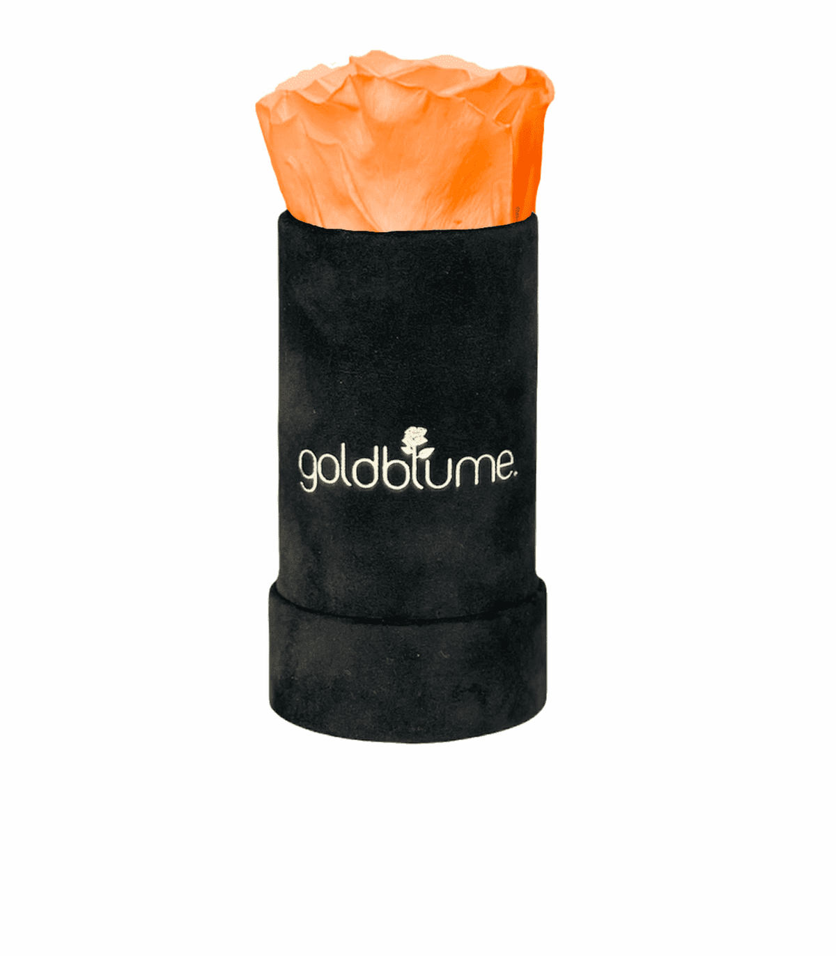 Velvet Black Collection - Goldblume 