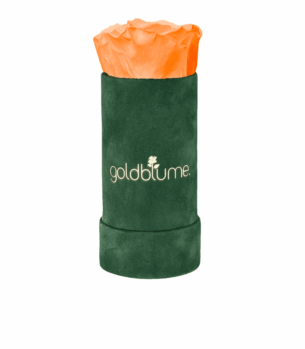 Velvet Green Collection - Goldblume 