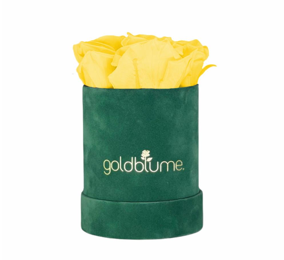Velvet Green Collection - Goldblume 