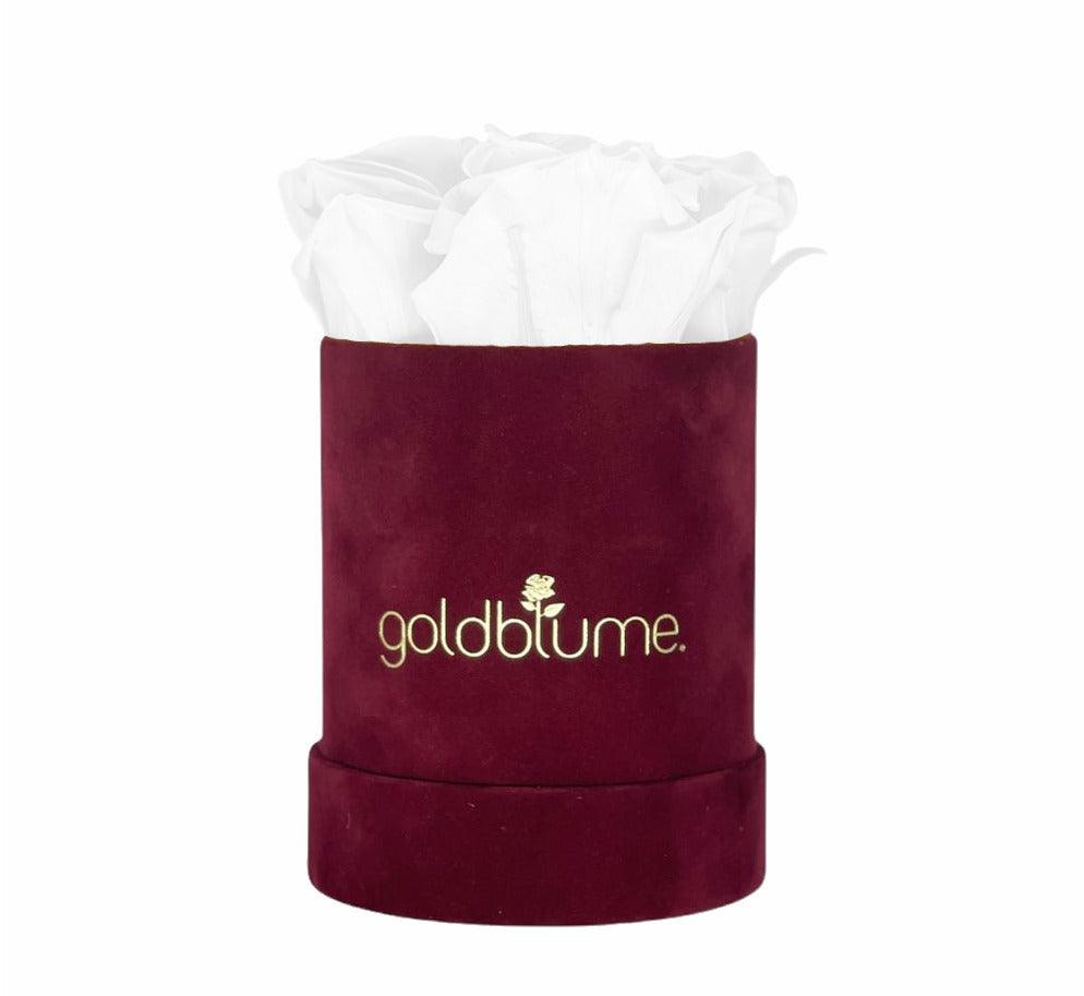 Velvet Bordeaux Collection - Goldblume 
