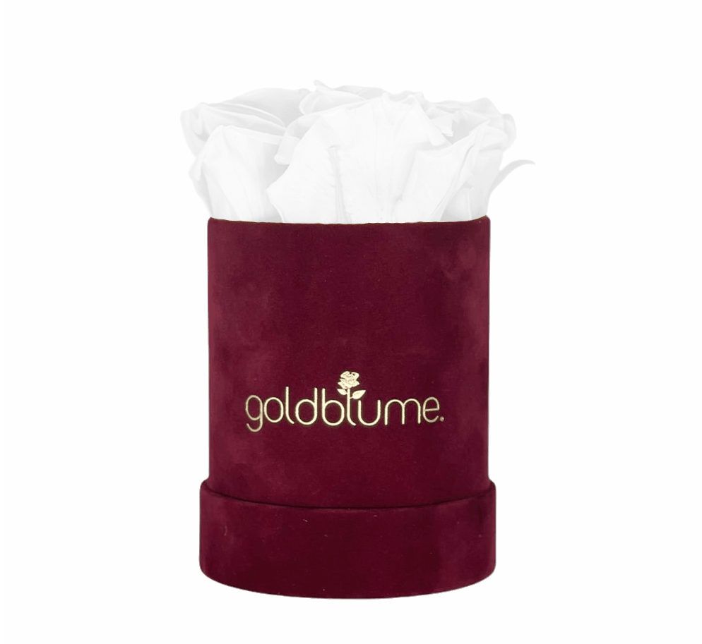 Velvet Bordeaux Collection - Goldblume 