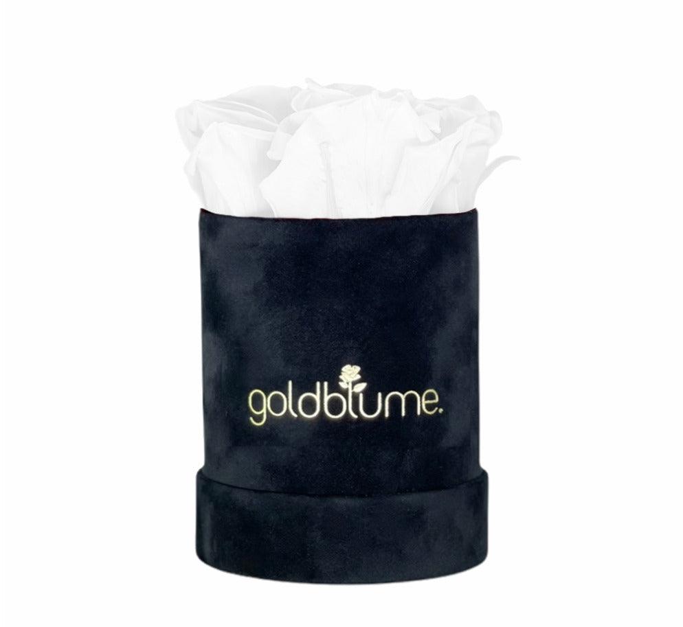Velvet Black Collection - Goldblume 