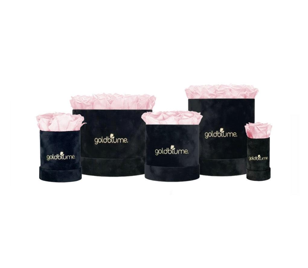 Velvet Black Collection - Goldblume 
