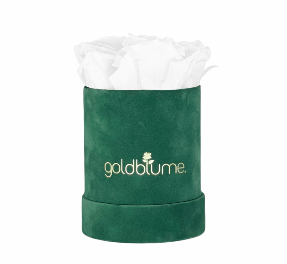 Velvet Green Collection - Goldblume 