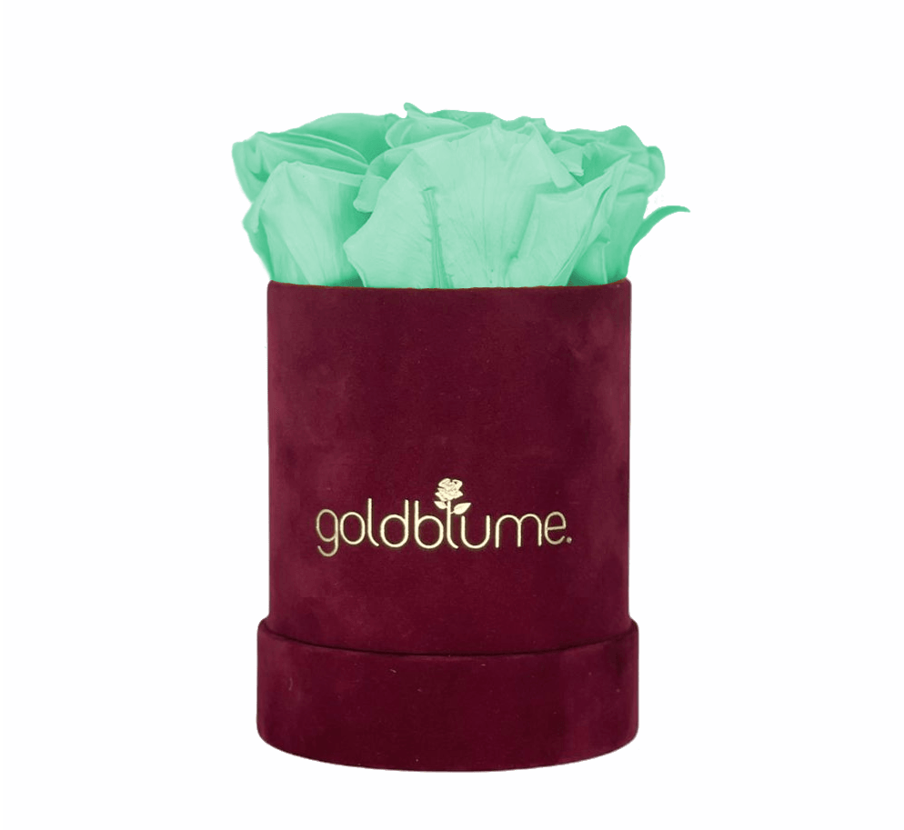 Velvet Bordeaux Collection - Goldblume 