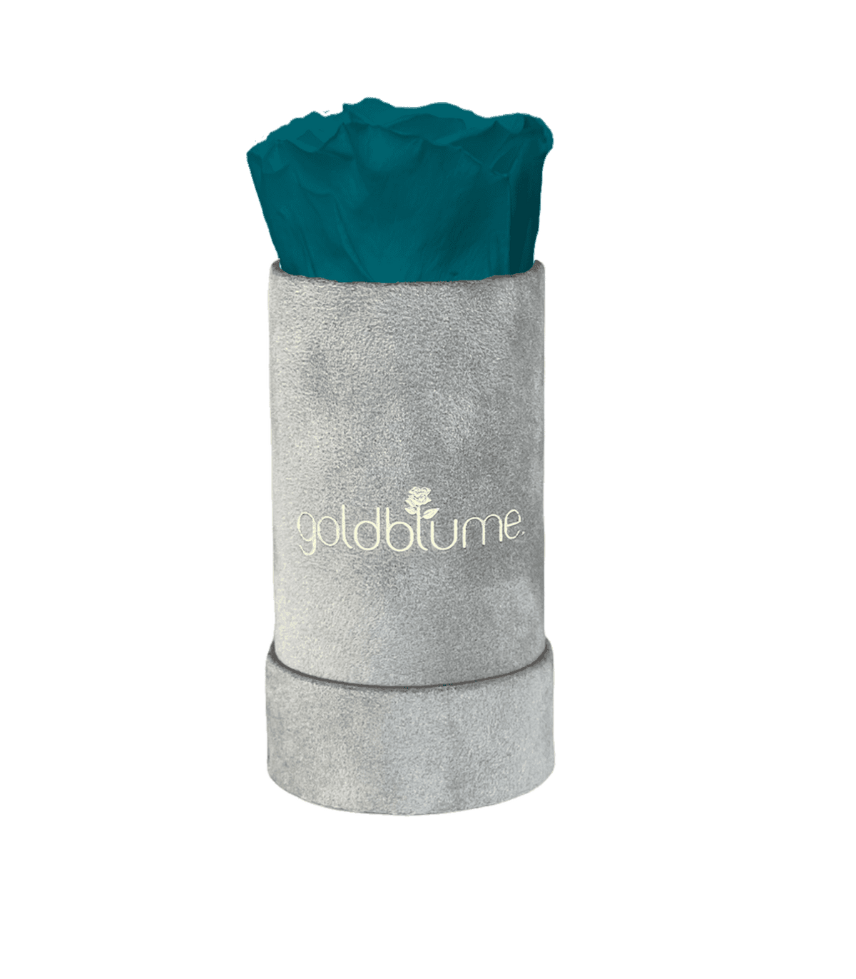 Velvet Grey Collection - Goldblume 