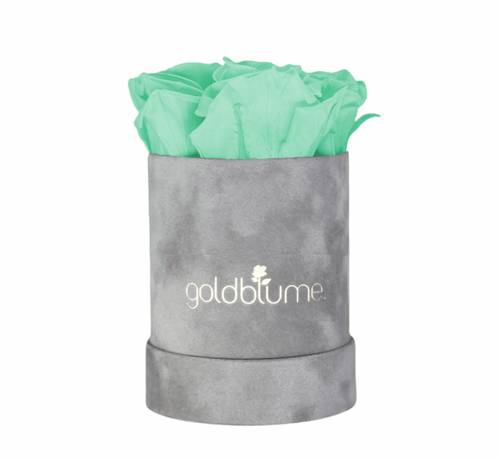 Velvet Grey Collection - Goldblume 