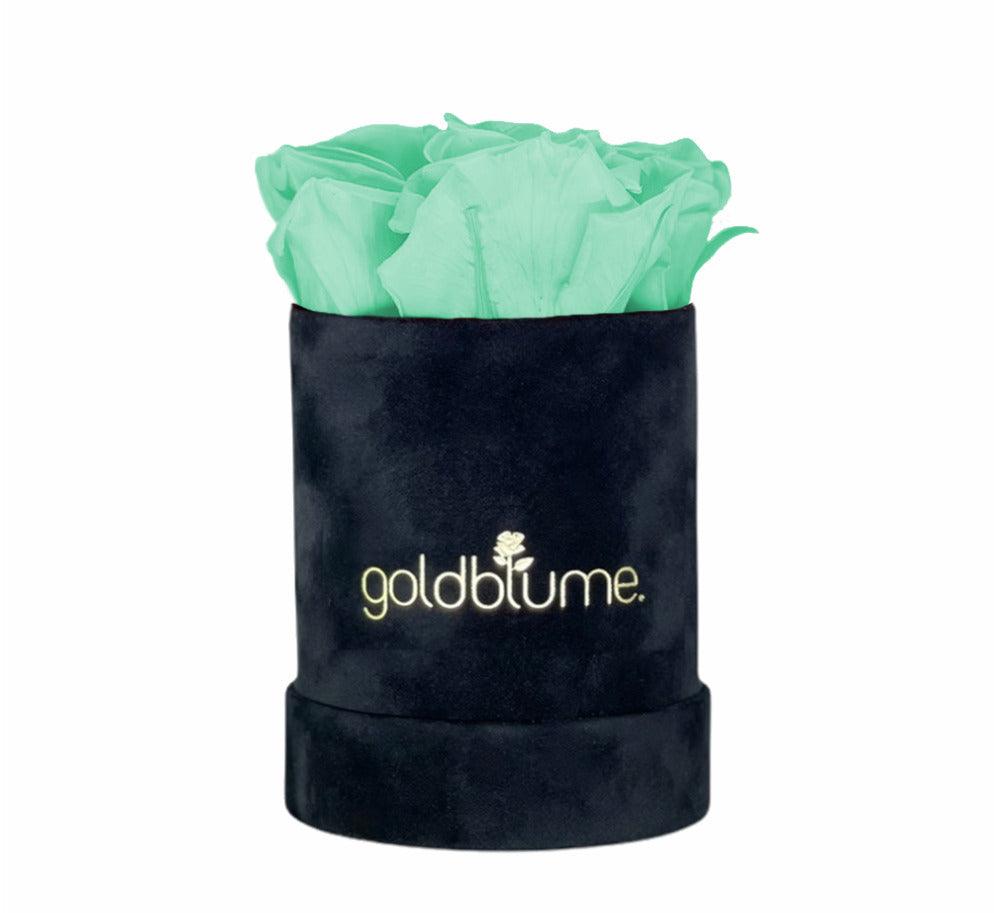 Velvet Black Collection - Goldblume 