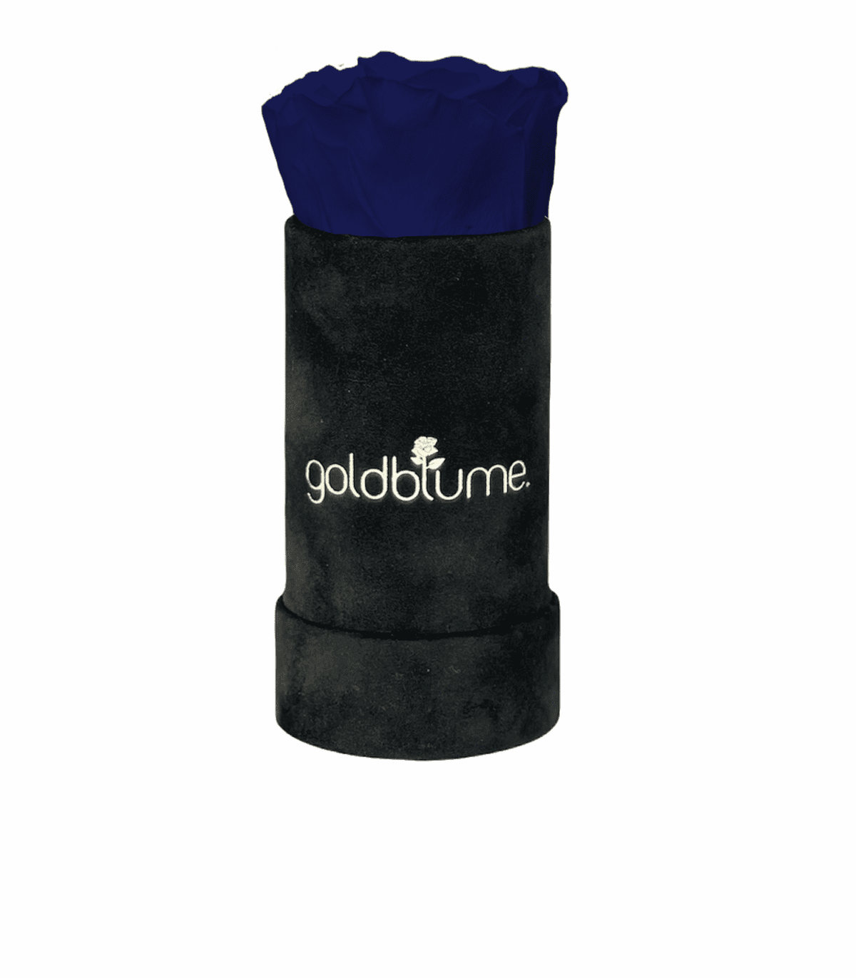 Velvet Black Collection - Goldblume 