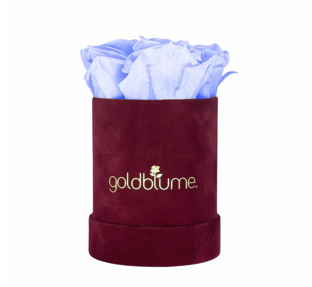 Velvet Bordeaux Collection - Goldblume 