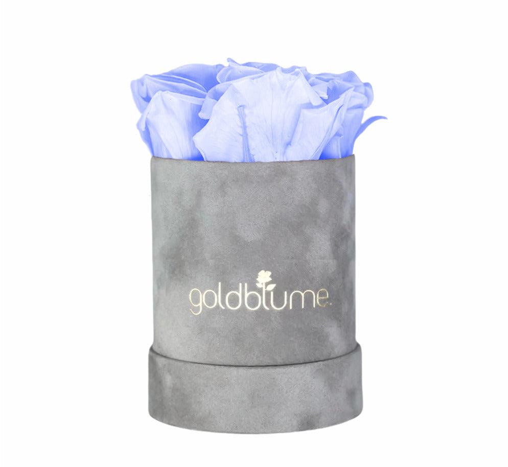 Velvet Grey Collection - Goldblume 