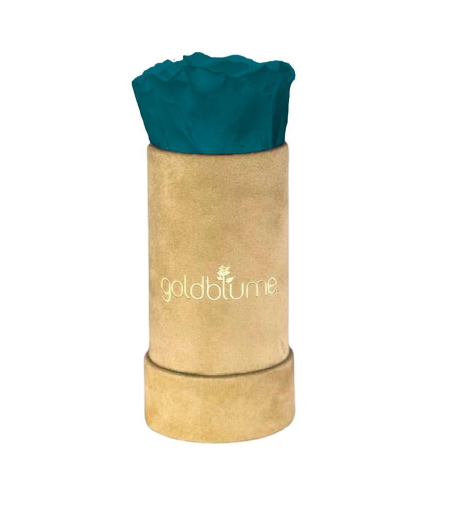 Velvet Beige Collection - Goldblume 