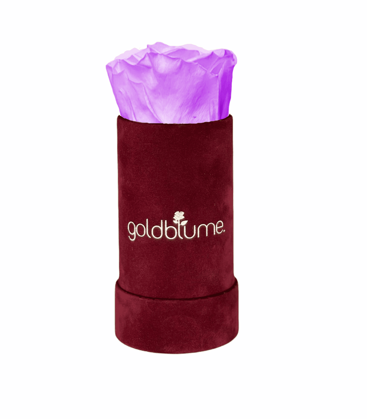 Velvet Bordeaux Collection - Goldblume 
