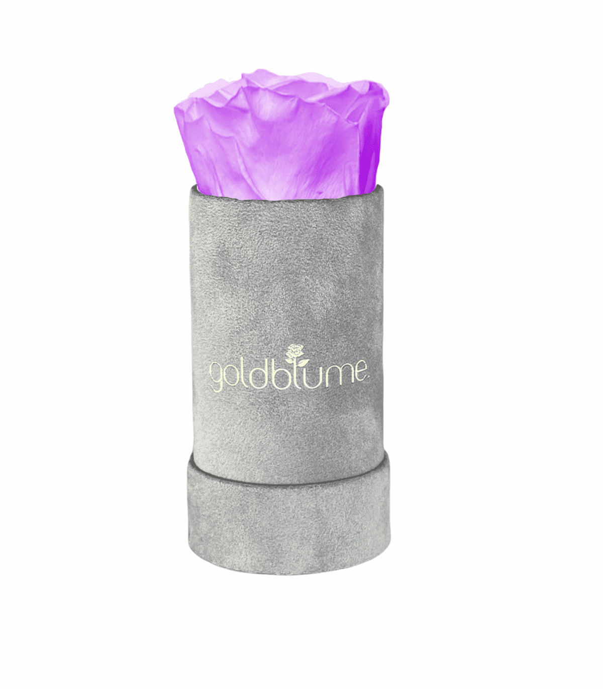 Velvet Grey Collection - Goldblume 