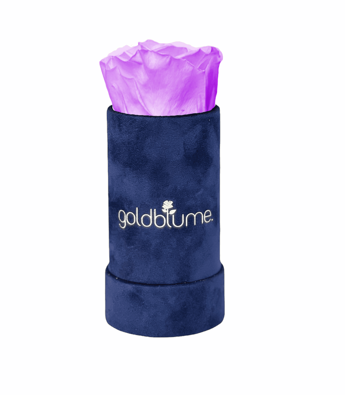 Velvet Royal Collection - Goldblume 