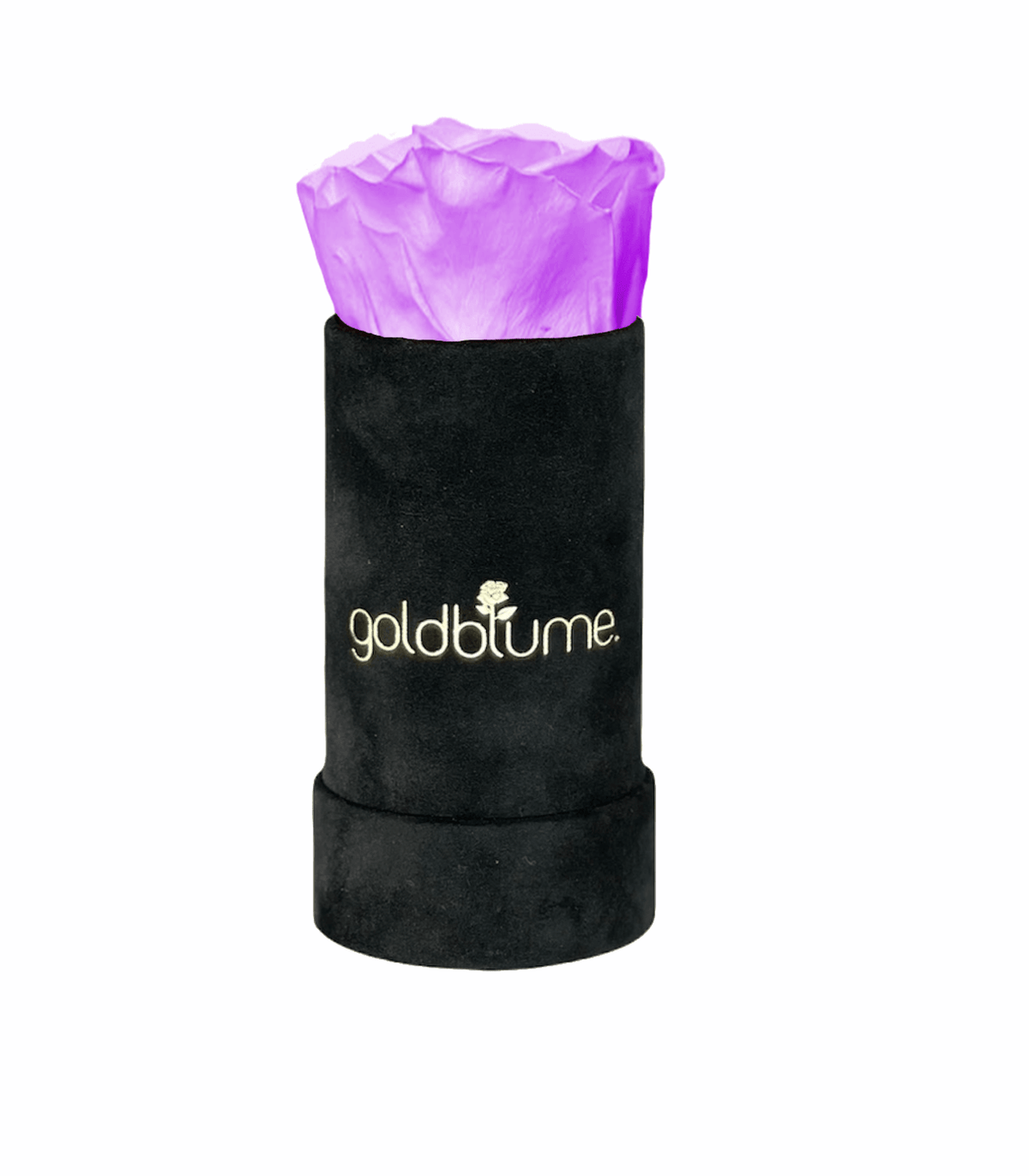 Velvet Black Collection - Goldblume 
