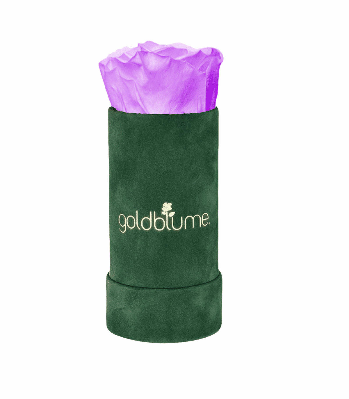 Velvet Green Collection - Goldblume 