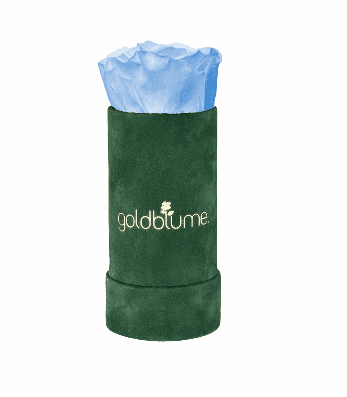 Velvet Green Collection - Goldblume 