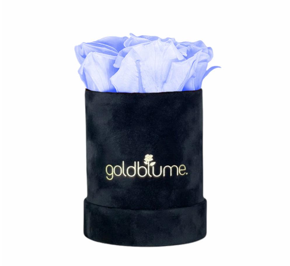 Velvet Black Collection - Goldblume 