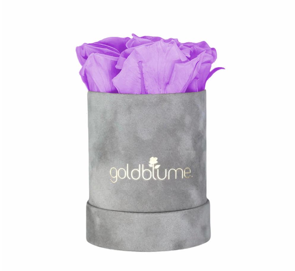 Velvet Grey Collection - Goldblume 