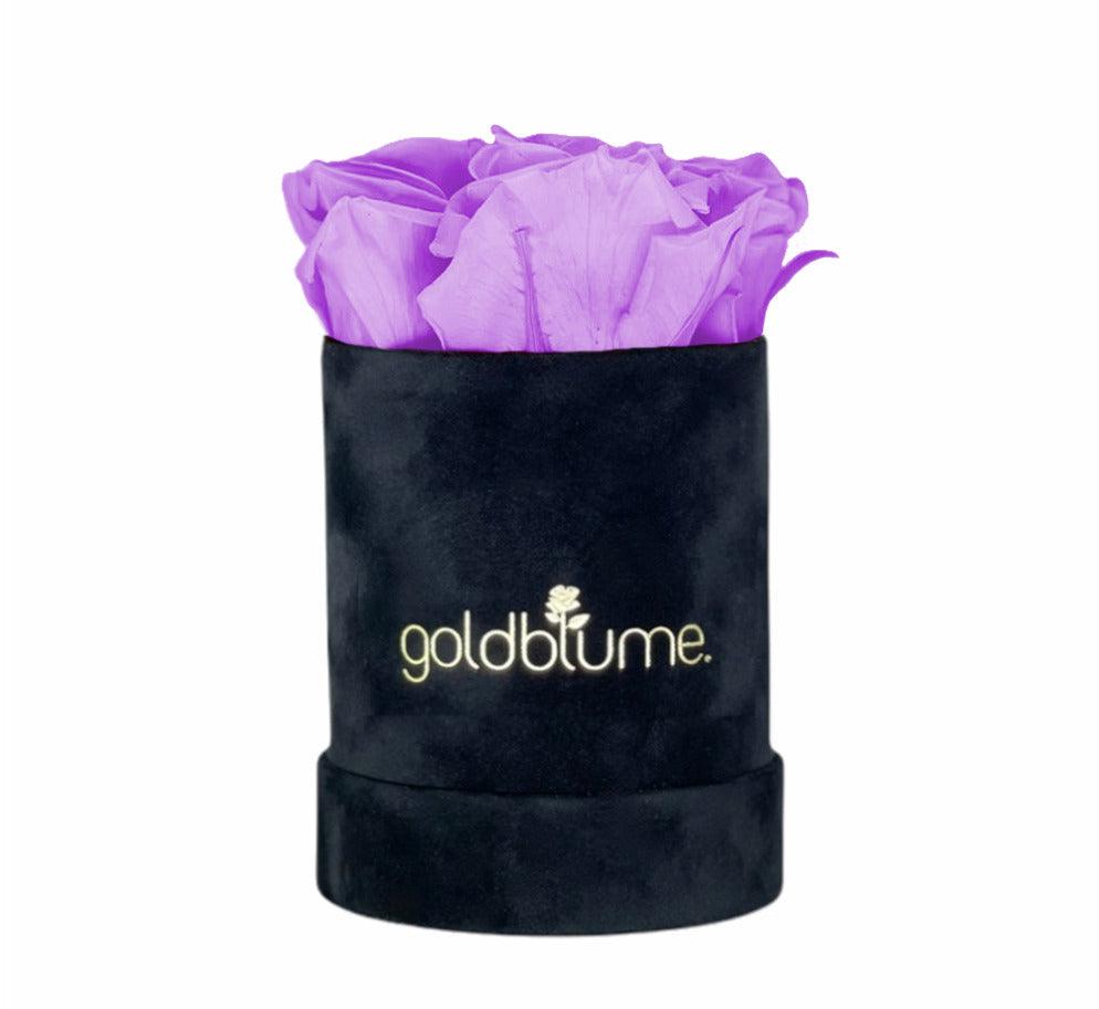 Velvet Black Collection - Goldblume 