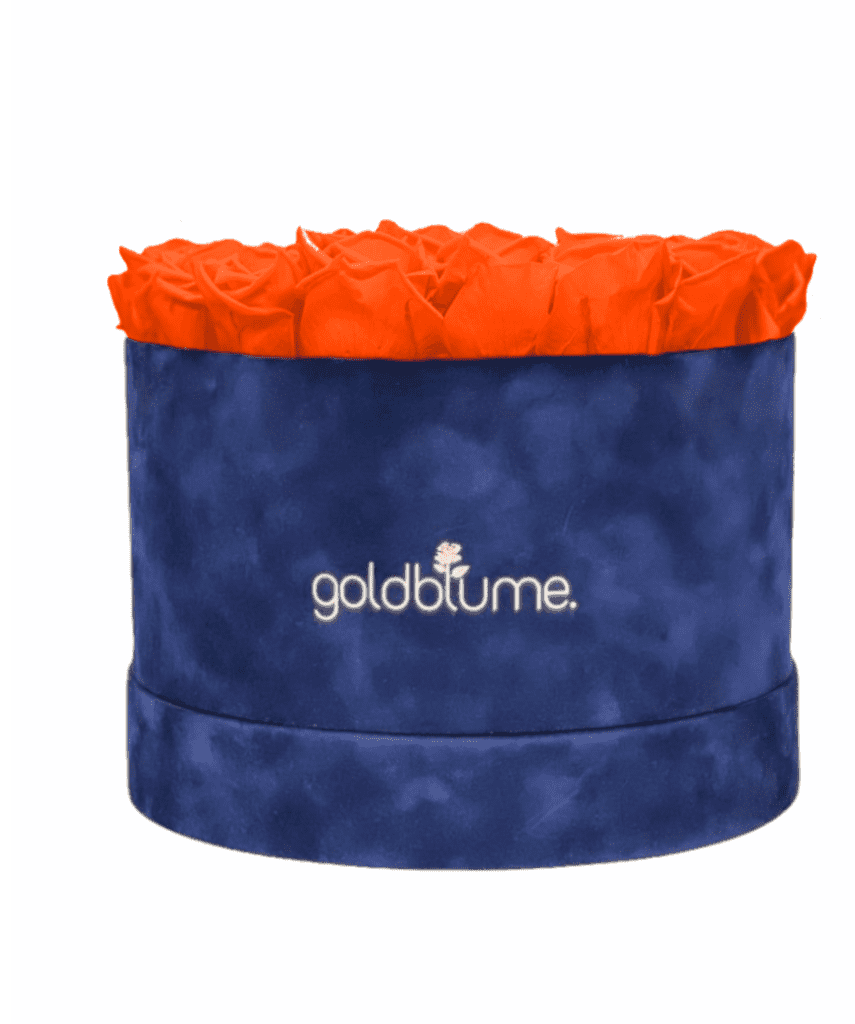 Velvet Royal Collection - Goldblume 