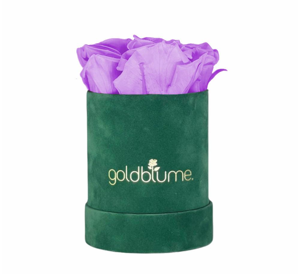 Velvet Green Collection - Goldblume 