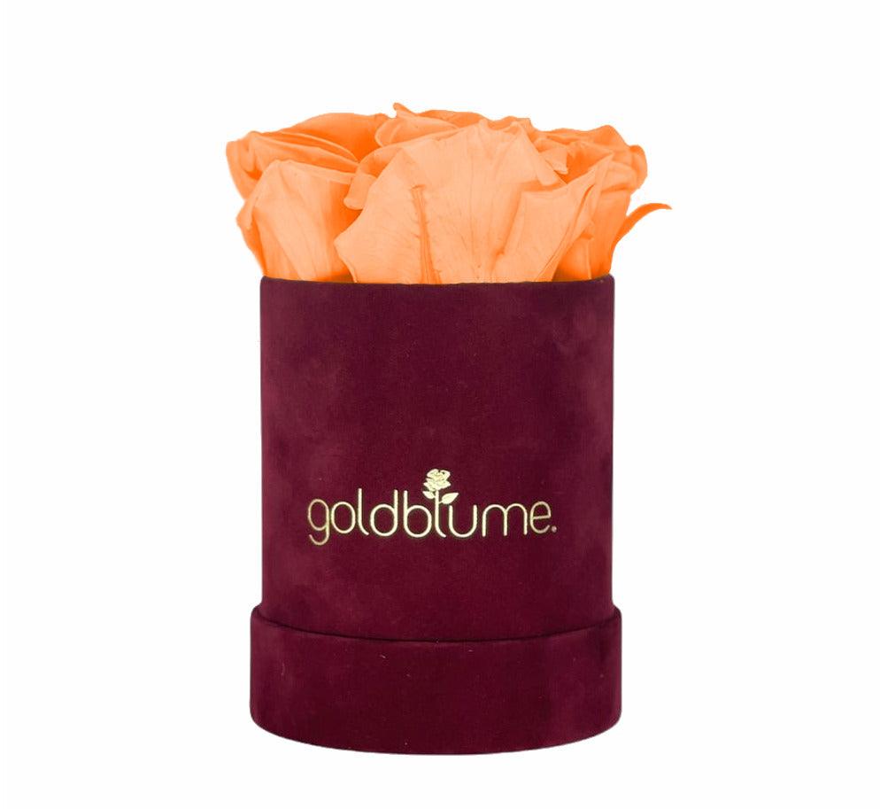 Velvet Bordeaux Collection - Goldblume 