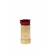 Velvet Beige Collection - Goldblume 