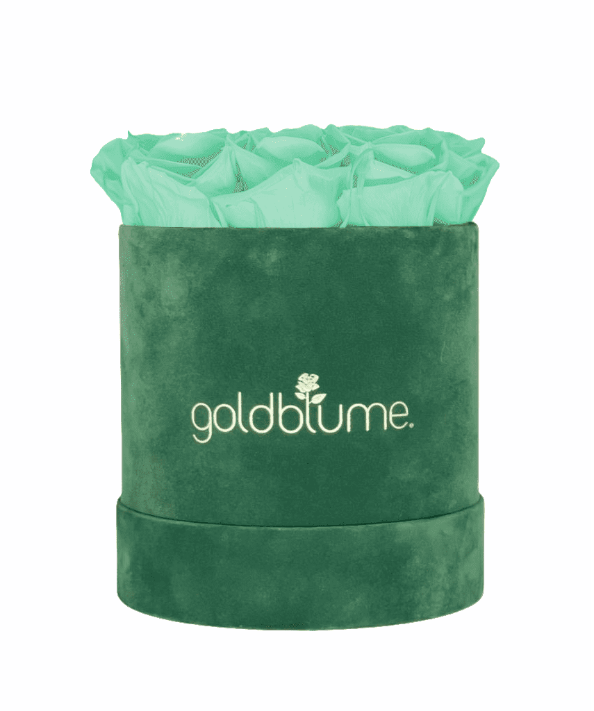Velvet Green Collection - Goldblume 