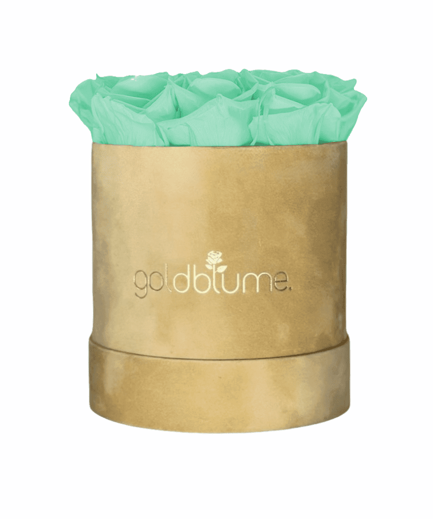 Velvet Beige Collection - Goldblume 