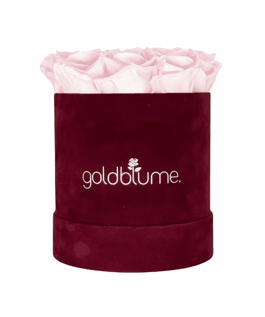 Velvet Bordeaux Collection - Goldblume 