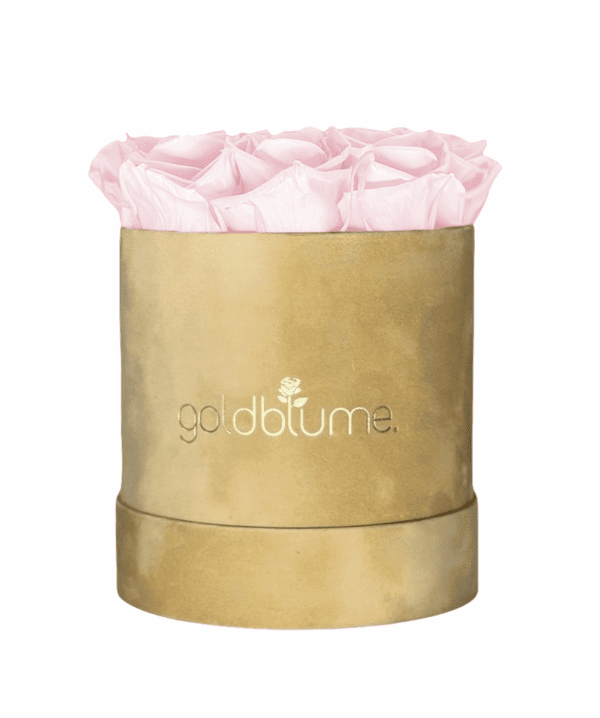 Velvet Beige Collection - Goldblume 