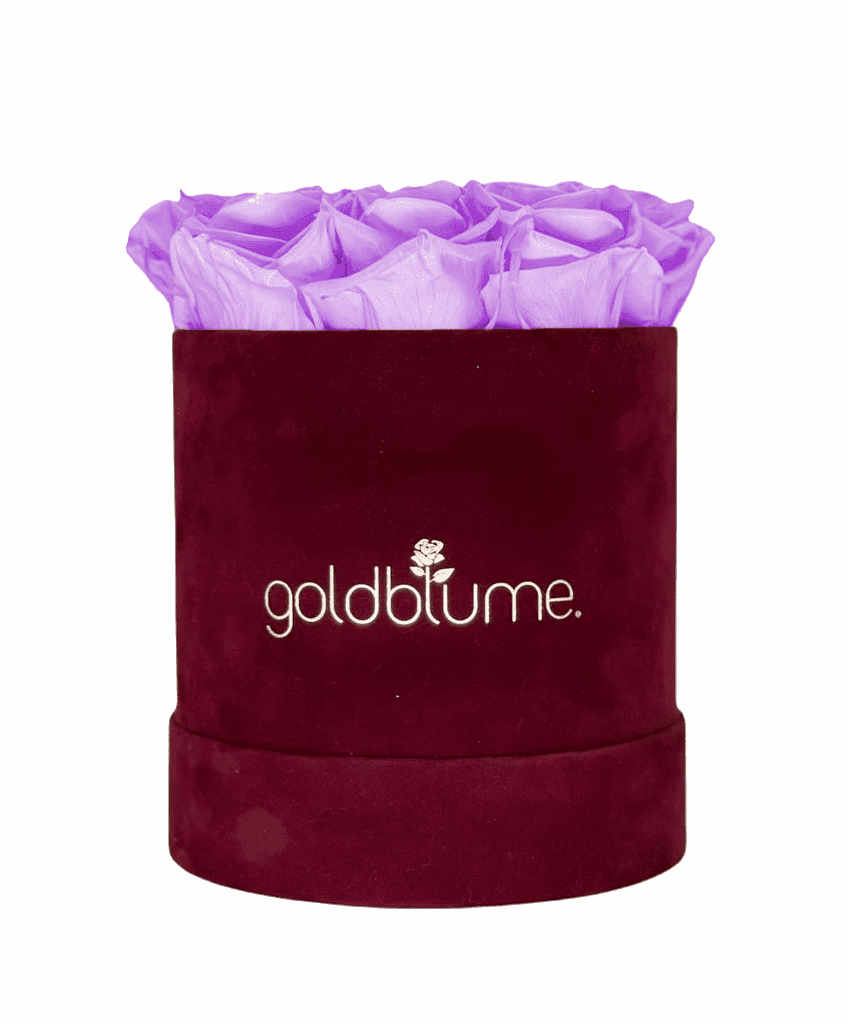 Velvet Bordeaux Collection - Goldblume 