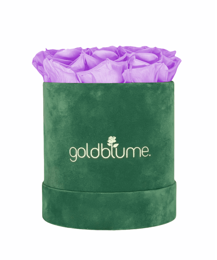Velvet Green Collection - Goldblume 