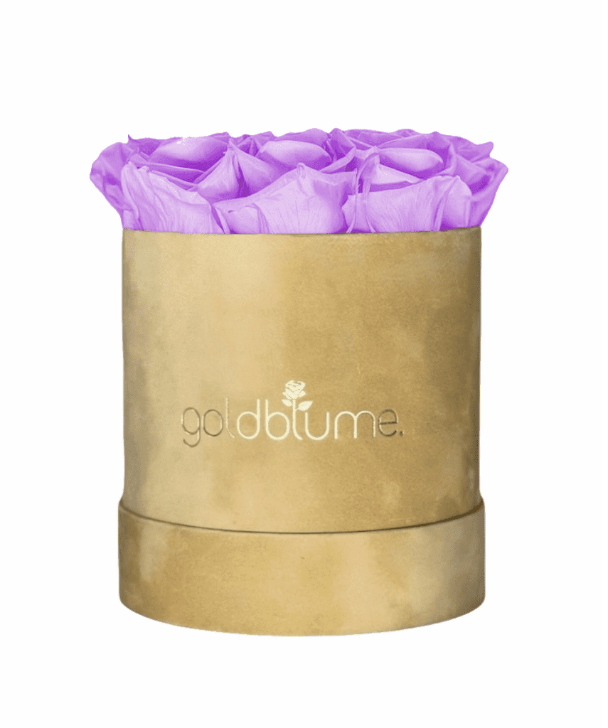 Velvet Beige Collection - Goldblume 