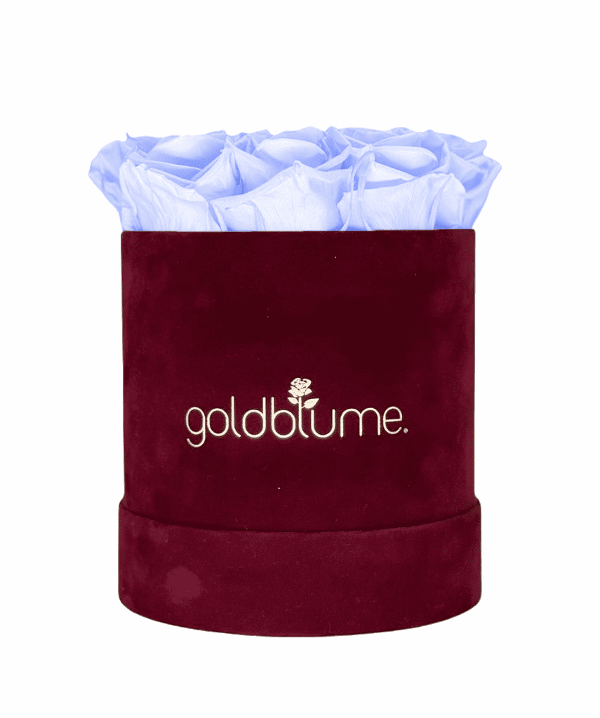 Velvet Bordeaux Collection - Goldblume 