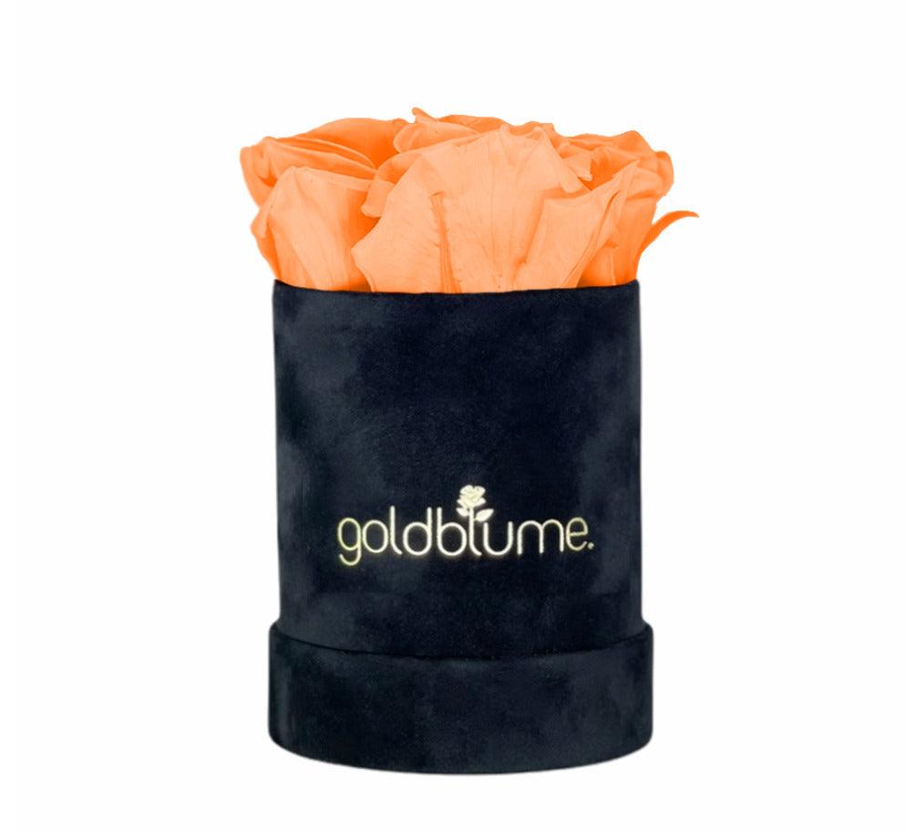 Velvet Black Collection - Goldblume 