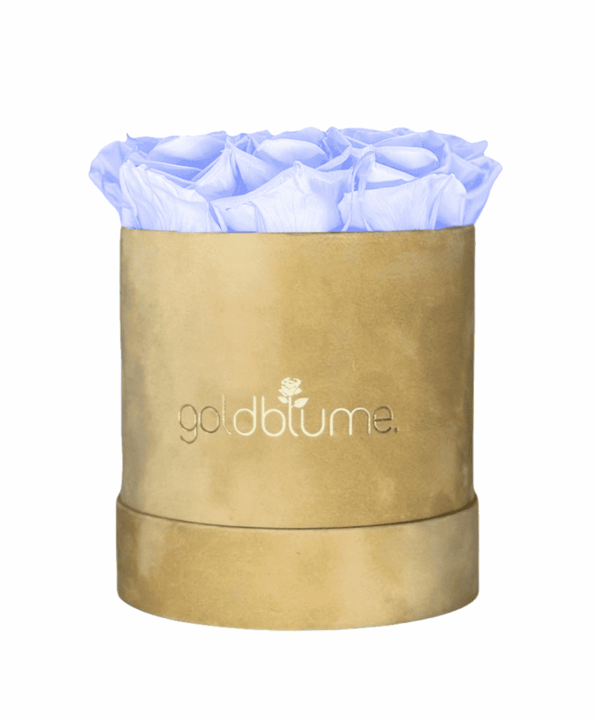 Velvet Beige Collection - Goldblume 